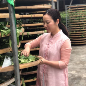 雅文化学院