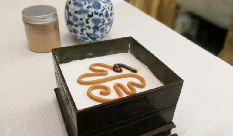 雅文化学院