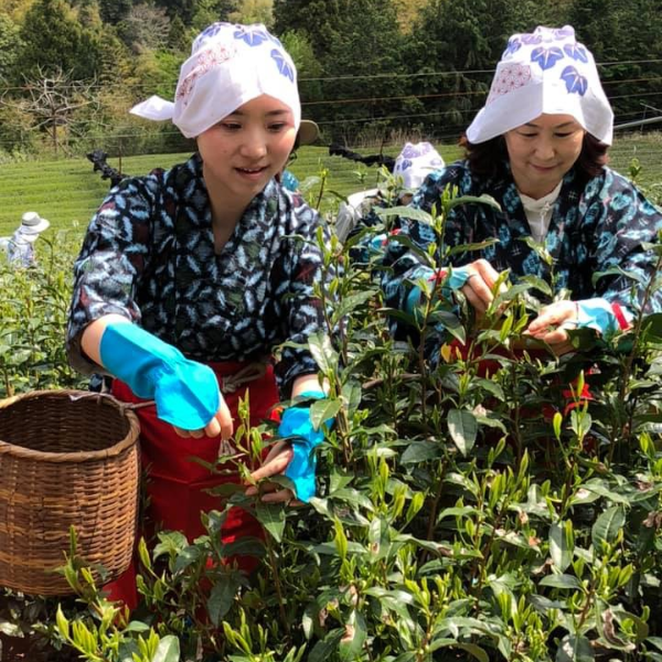 雅文化学院