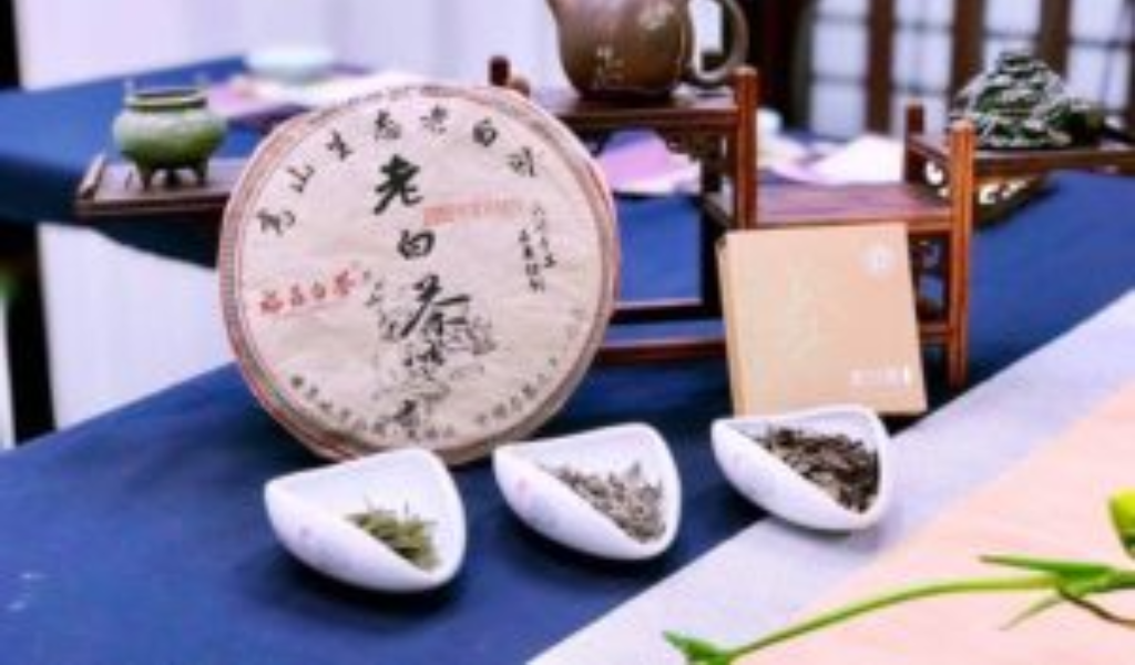 雅文化学院