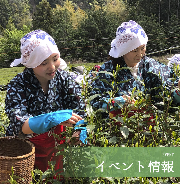 雅文化学院