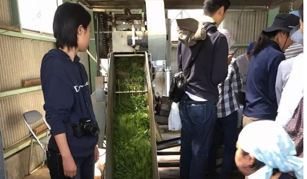 雅文化学院